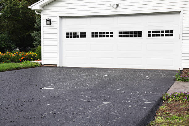 Best Same-Day Junk Removal Services  in Machias, WA